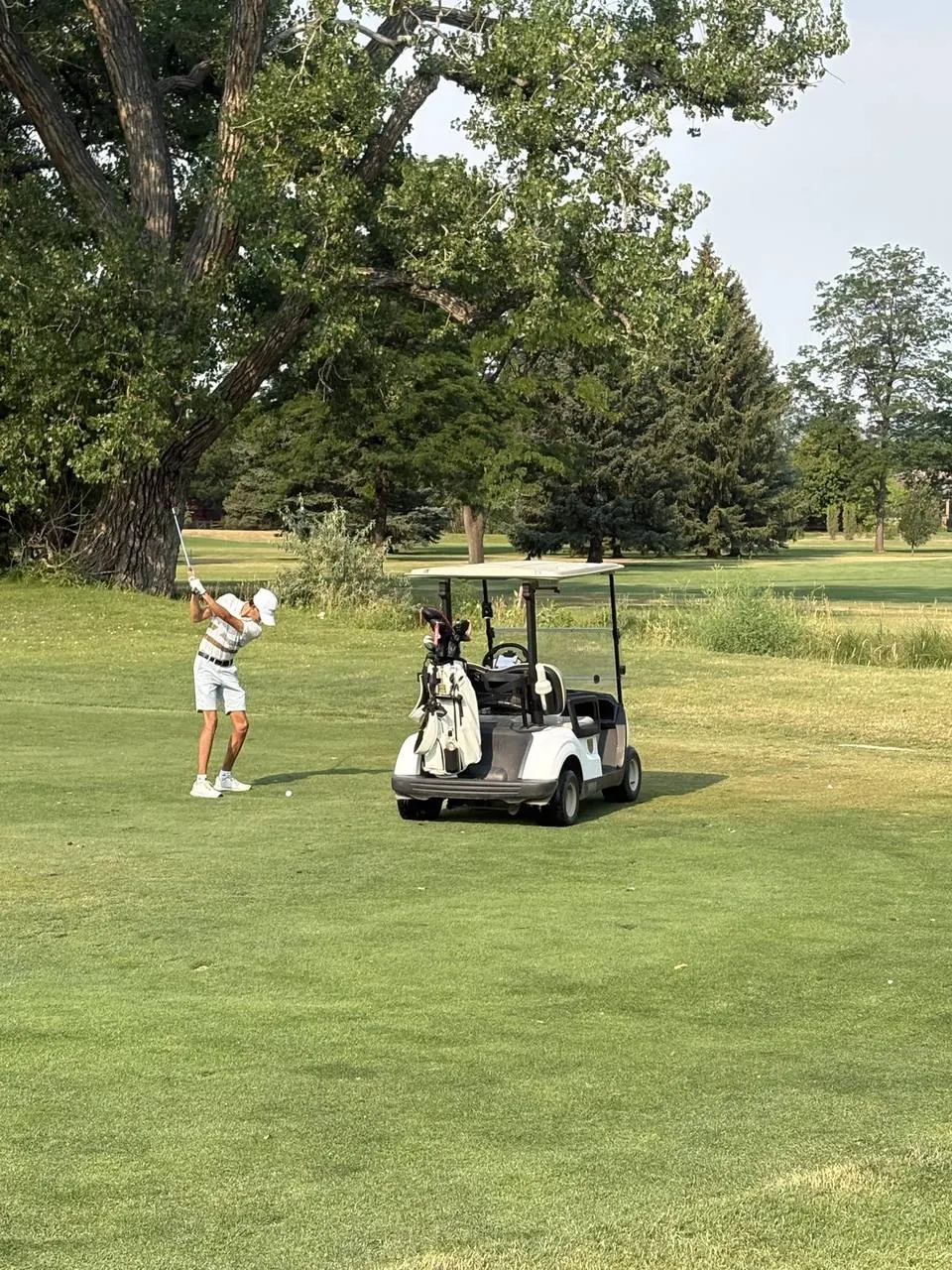 Collindale Amateur Tournament photo 9