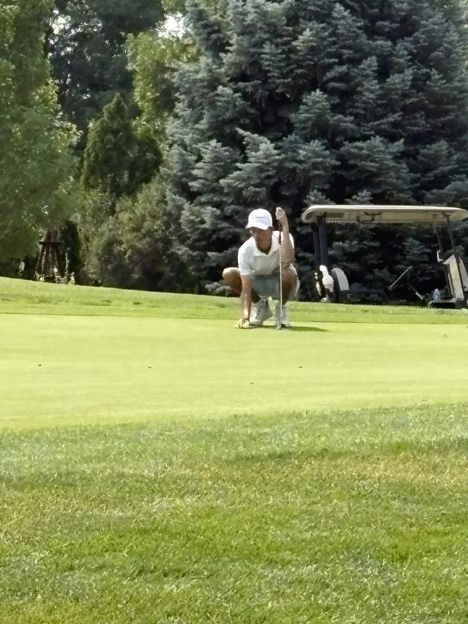 Collindale Amateur Tournament photo 18