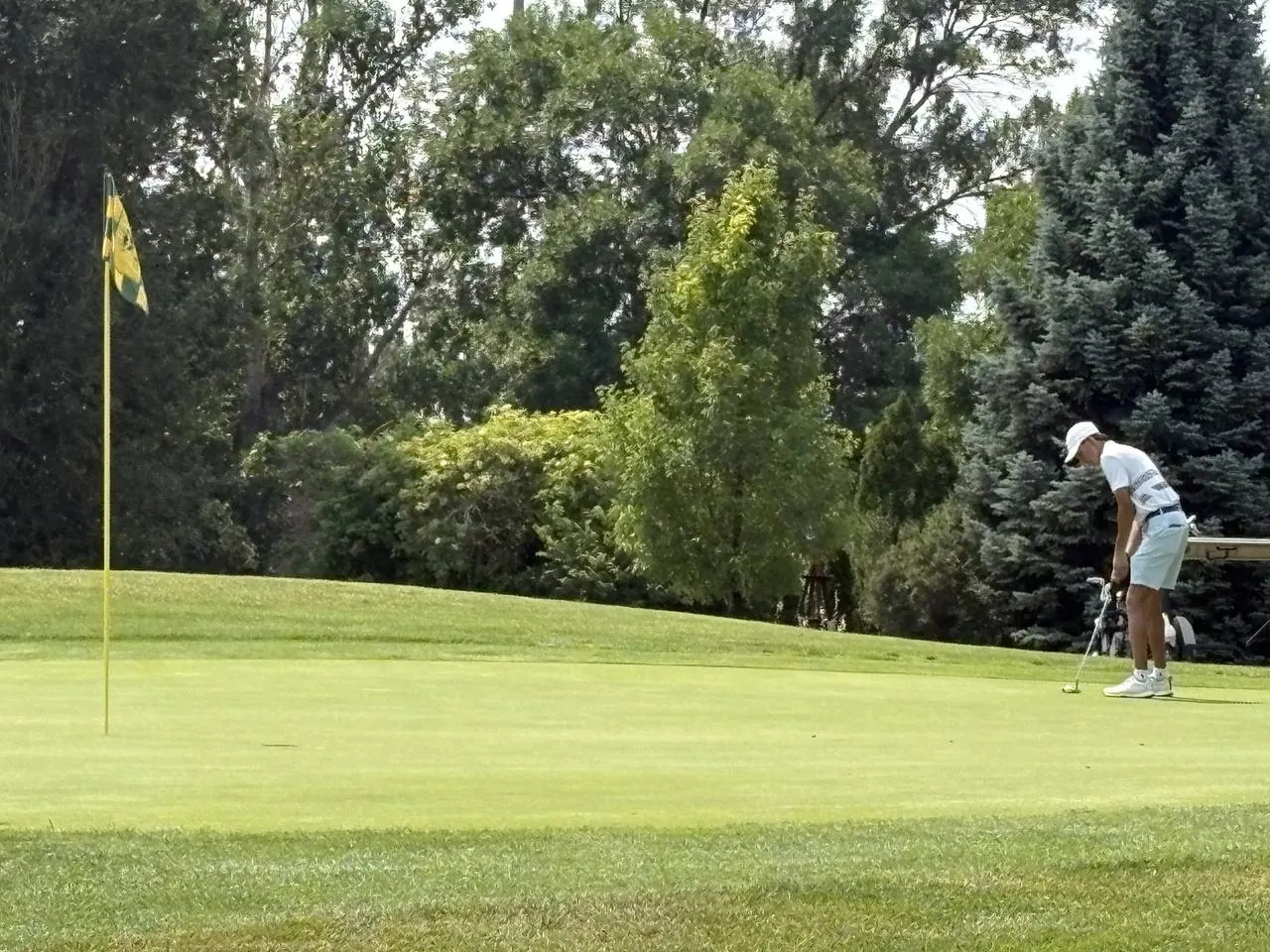 Collindale Amateur Tournament photo 19
