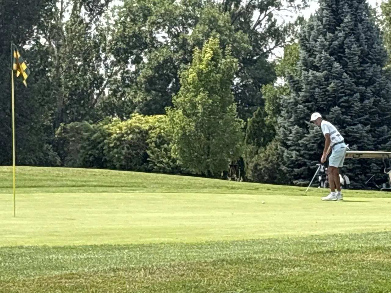 Collindale Amateur Tournament photo 22
