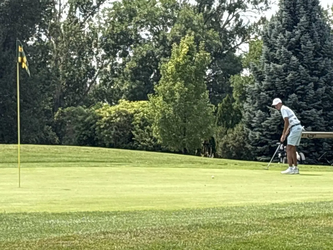 Collindale Amateur Tournament photo 24
