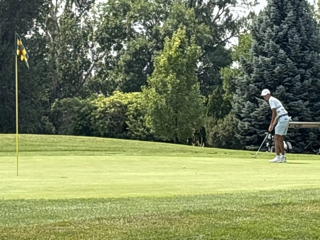Collindale Amateur Tournament photo 26