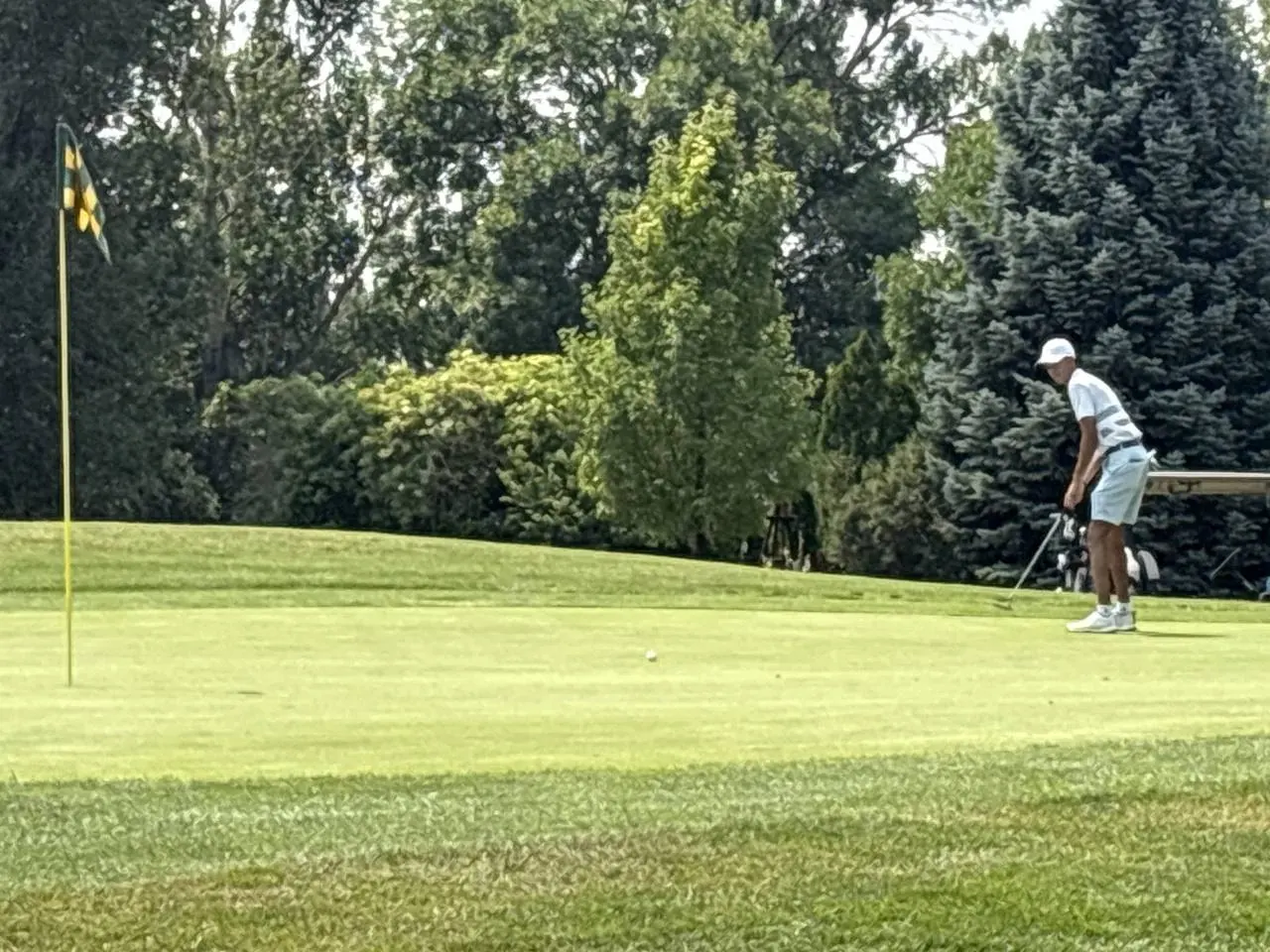 Collindale Amateur Tournament photo 28