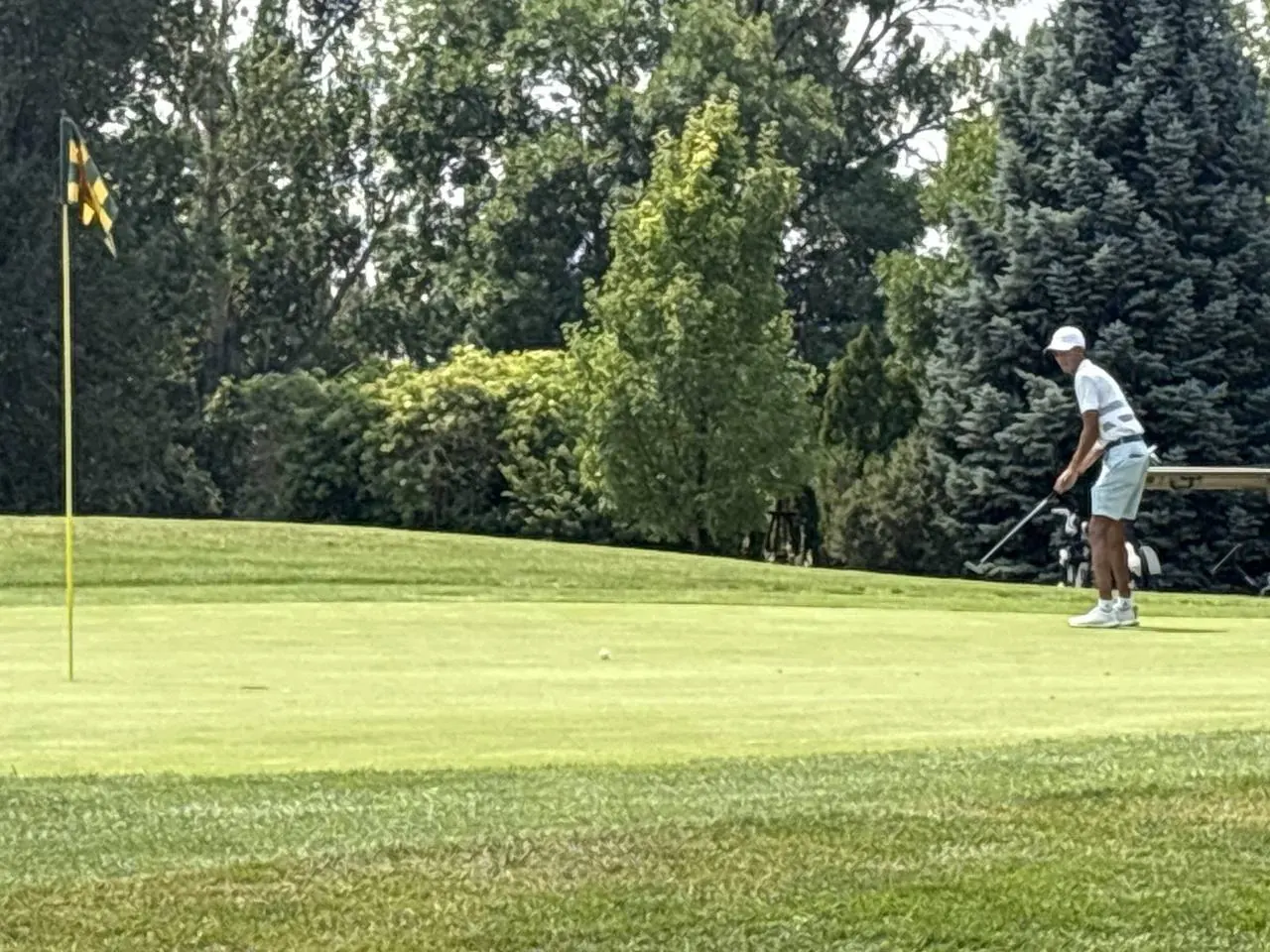 Collindale Amateur Tournament photo 29