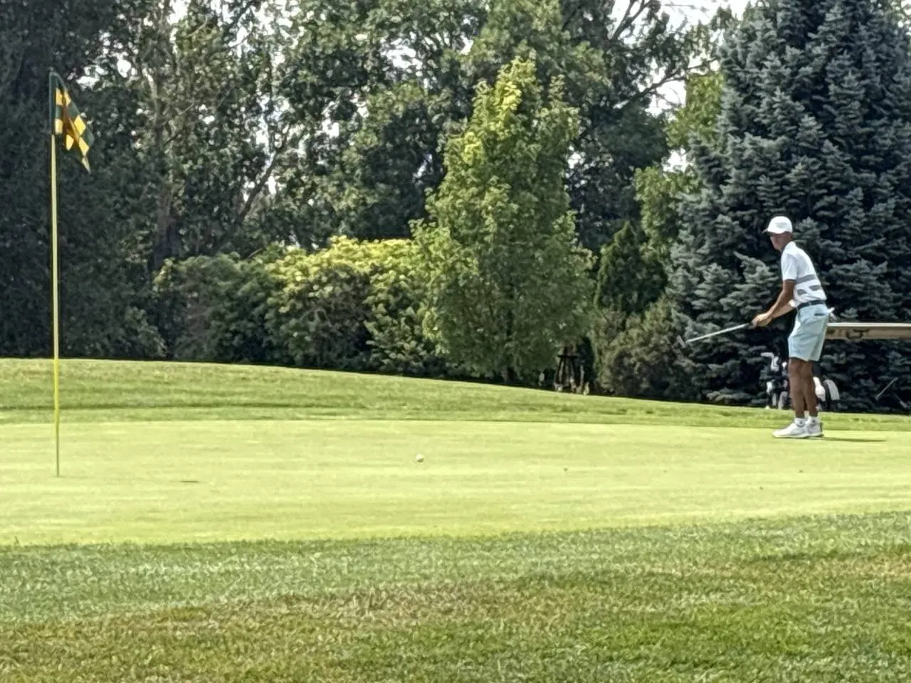 Collindale Amateur Tournament photo 30