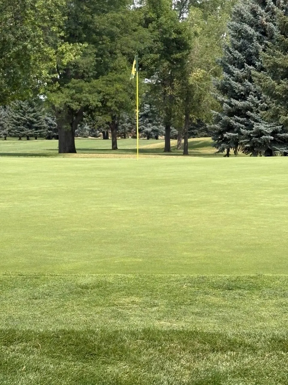 Collindale Amateur Tournament photo 31